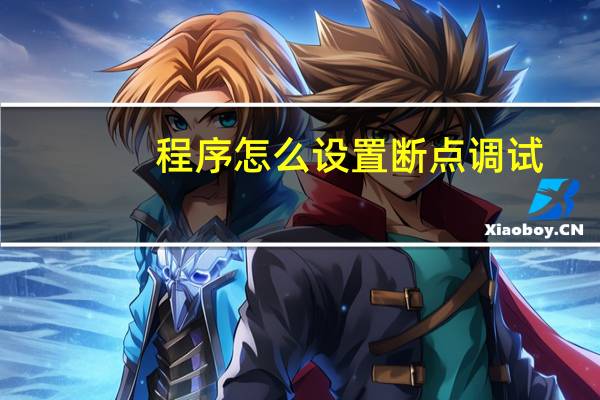 程序怎么设置断点调试