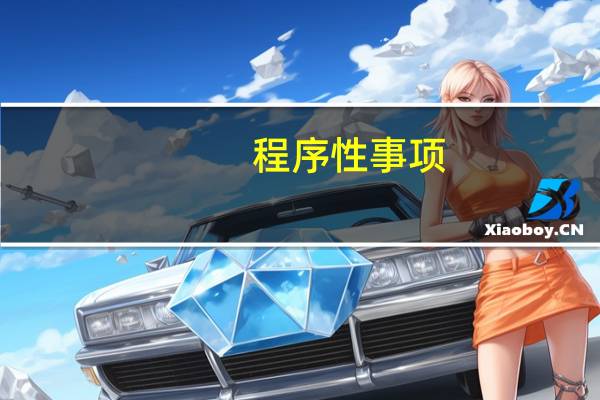 程序性事项