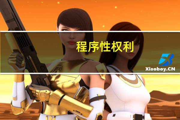 程序性权利