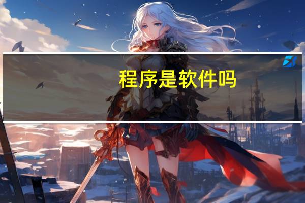 程序是软件吗