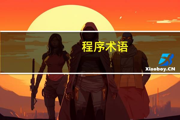 程序术语