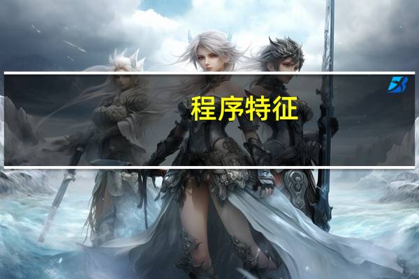 程序特征
