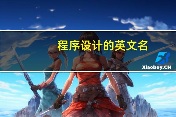 程序设计的英文名