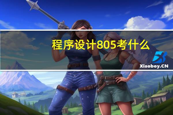 程序设计805考什么