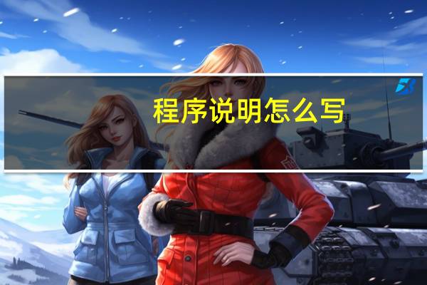 程序说明怎么写