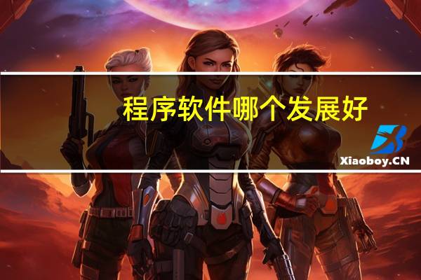 程序软件哪个发展好