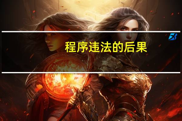 程序违法的后果