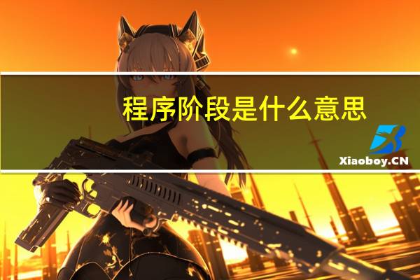 程序阶段是什么意思