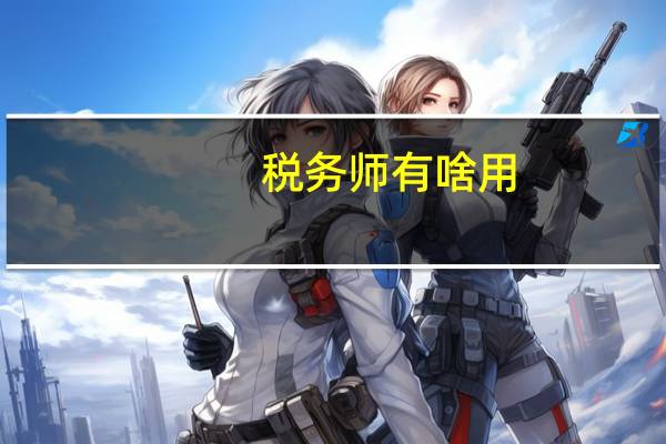税务师有啥用