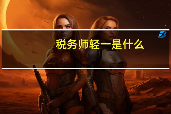 税务师轻一是什么