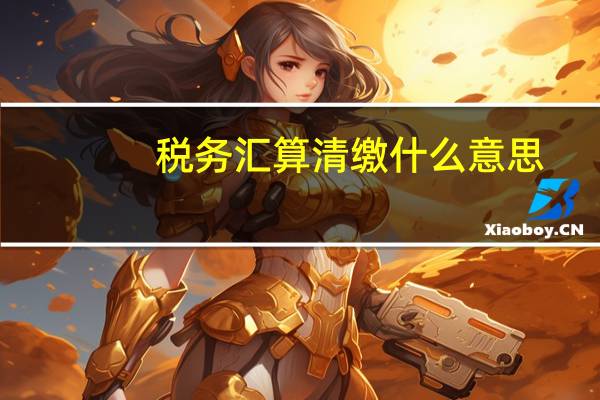 税务汇算清缴什么意思