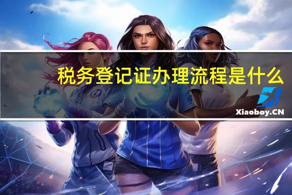 税务登记证办理流程是什么
