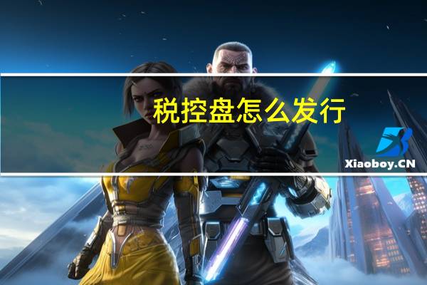 税控盘怎么发行