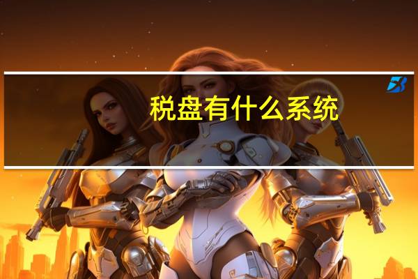 税盘有什么系统