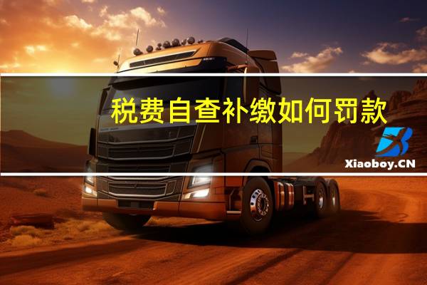税费自查补缴如何罚款