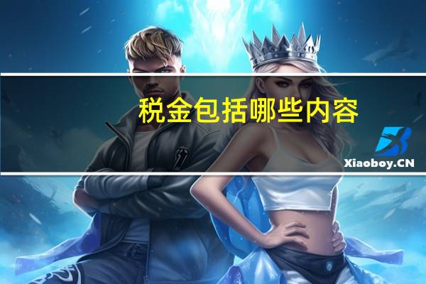 税金包括哪些内容