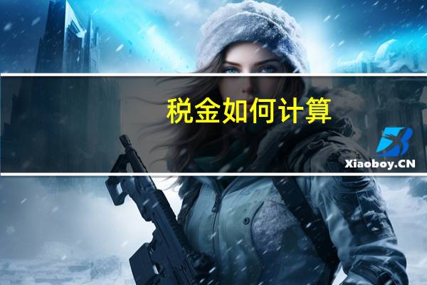 税金如何计算