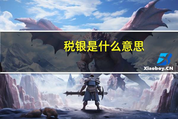 税银是什么意思