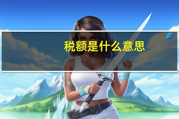 税额是什么意思
