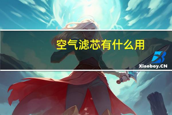 空气滤芯有什么用