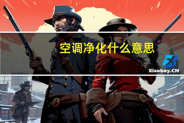 空调净化什么意思