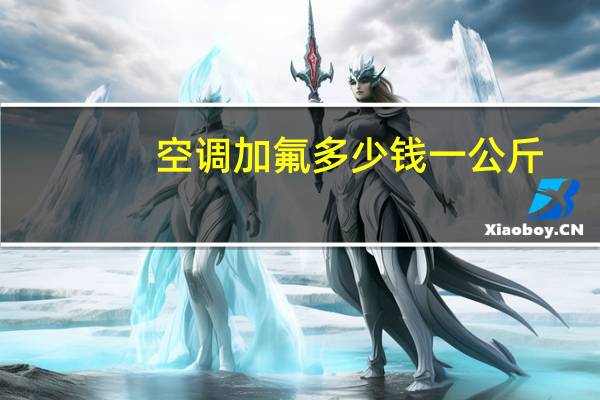 空调加氟多少钱一公斤