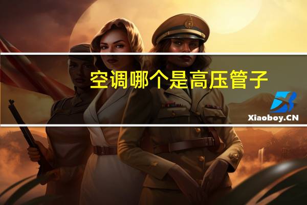 空调哪个是高压管子