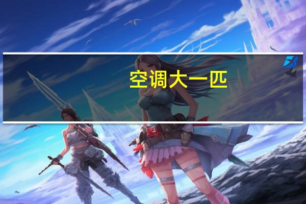 空调大一匹
