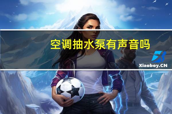 空调抽水泵有声音吗