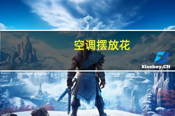 空调摆放花