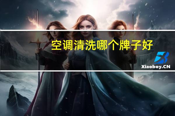 空调清洗哪个牌子好