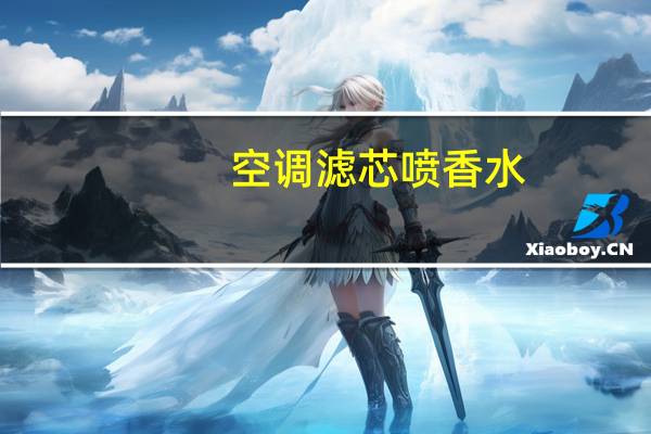 空调滤芯喷香水