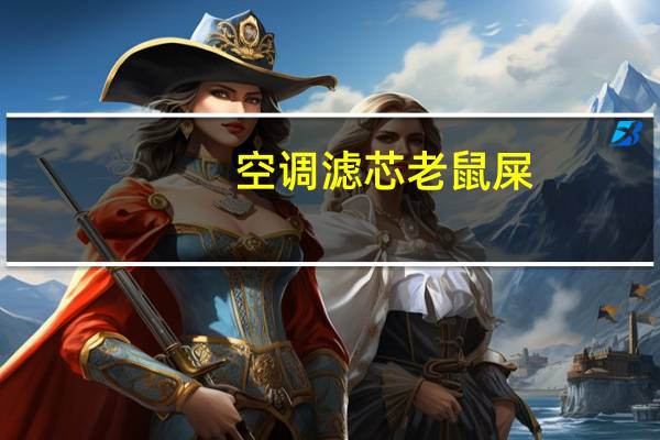 空调滤芯老鼠屎