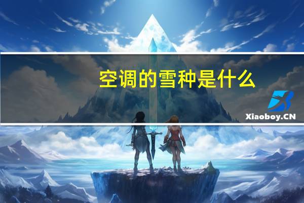 空调的雪种是什么