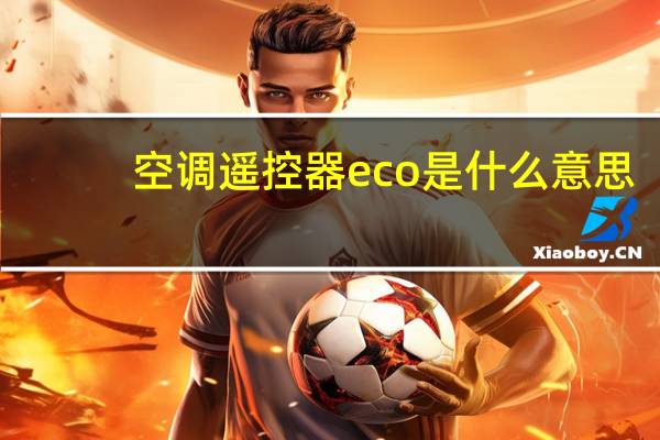 空调遥控器eco是什么意思