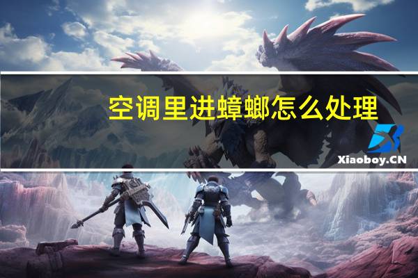 空调里进蟑螂怎么处理