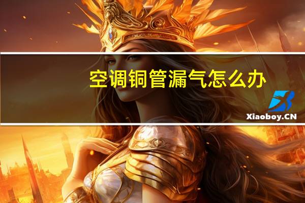 空调铜管漏气怎么办