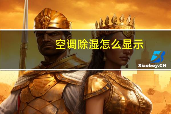 空调除湿怎么显示