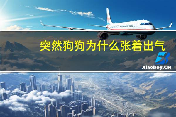 突然狗狗为什么张着出气
