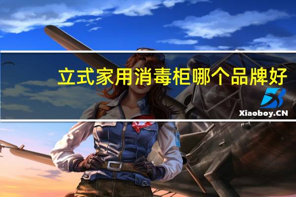 立式家用消毒柜哪个品牌好