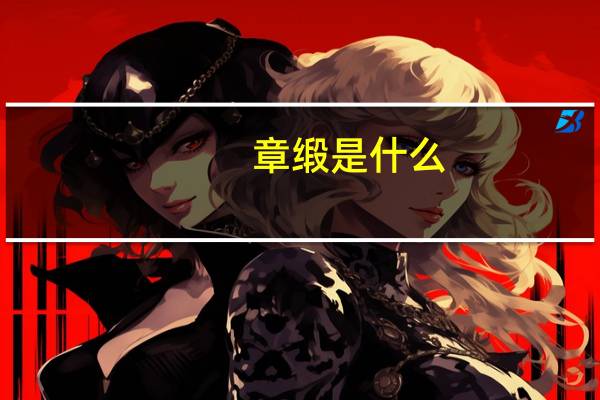 章缎是什么