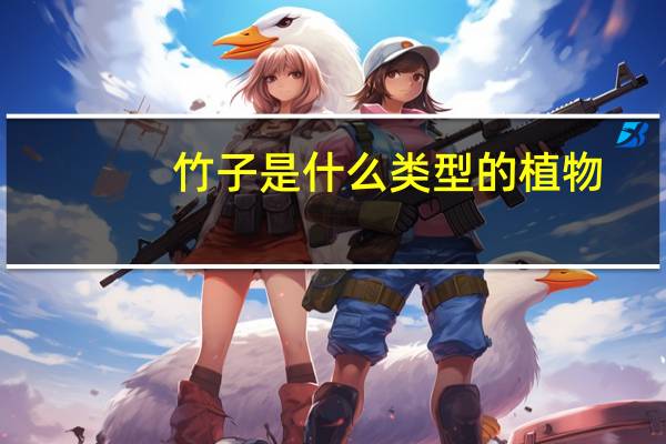 竹子是什么类型的植物