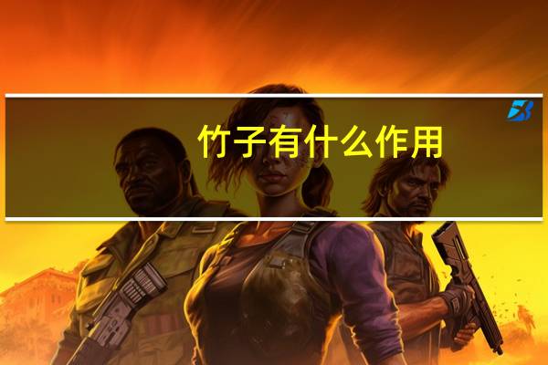 竹子有什么作用_