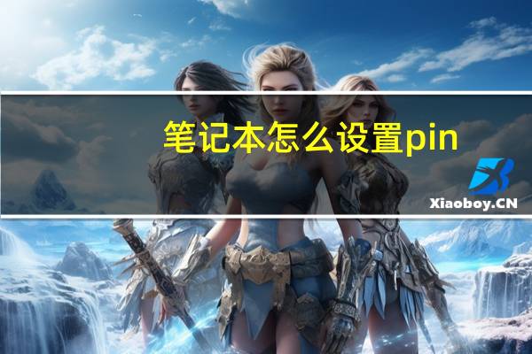 笔记本怎么设置pin