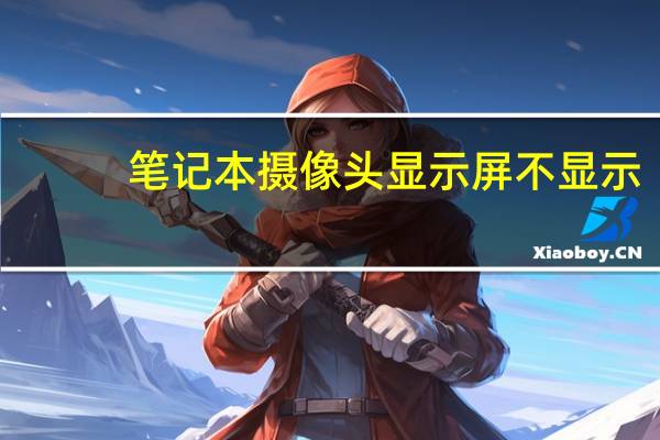 笔记本摄像头显示屏不显示