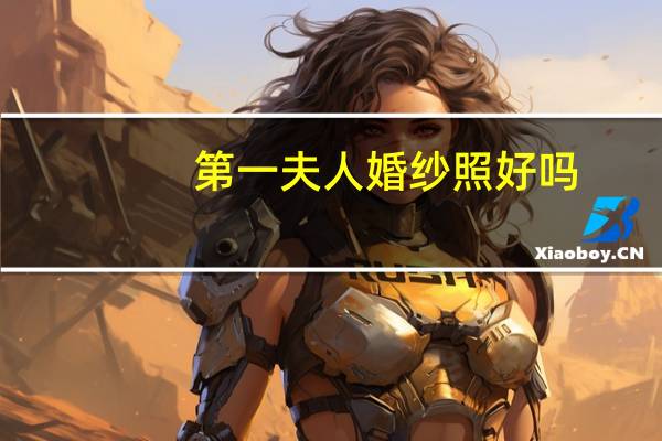 第一夫人婚纱照好吗