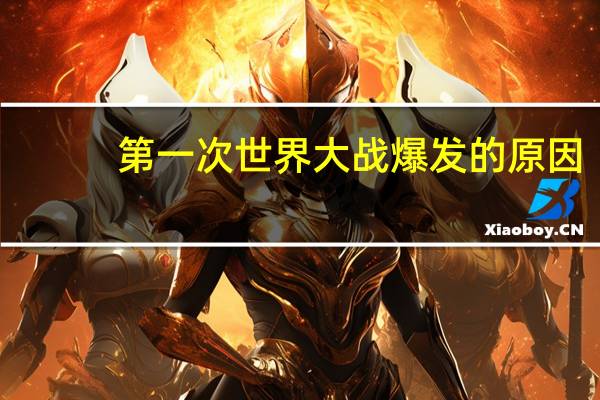 第一次世界大战爆发的原因