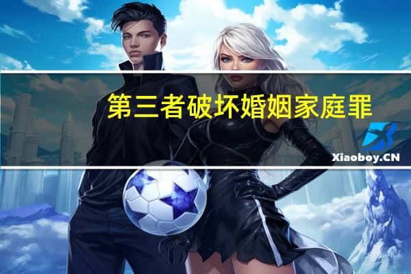第三者破坏婚姻家庭罪