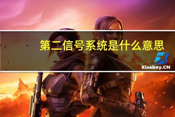 第二信号系统是什么意思