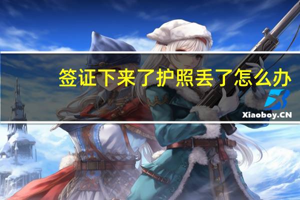 签证下来了护照丢了怎么办